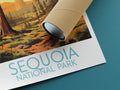 sequoia travel poster rolled national park